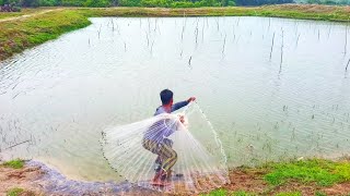 Most Popular Cast Net Fishing in Village Pond  Net Fishing with Beautiful Natural [upl. by Ylrac]