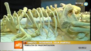 Vivo en Arg  Tecnópolis  Paleontología  180913 1 de 2 [upl. by Noret]