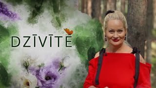 Dzīvīte S9E1 [upl. by Fleur]