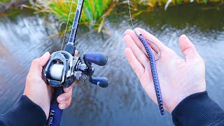 Catch 10x MORE Bass  TRY THIS Bass Fishing Tips [upl. by Dagnah945]