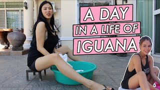 Iguana meets Ivana by Alex Gonzaga [upl. by Atsilac]