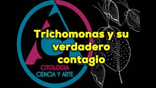 Trichomonas un protozoario que afecta a humanos [upl. by Lehpar]