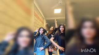 Tuada kutta tommy sada kutta kutta  ROMAISA KHAN  TIK TOK  DIVAS OF PAKISTAN [upl. by Seftton954]