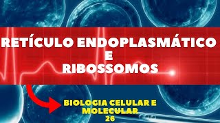 RIBOSSOMOS E RETÍCULO ENDOPLASMÁTICO RUGOSO E LISO  BIOLOGIA CELULAR E MOLECULAR [upl. by Goldi]