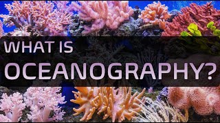 What is Oceanography ※ What do Oceanographers do [upl. by Bowen951]