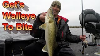 Walleye Fishing Tips – Irresistible Technique For Catching Spring Walleye 2021 [upl. by Liva]