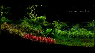 Huge Aquascape Tutorial Step by Step Spontaneity by James Findley for The Green Machine [upl. by Colby676]