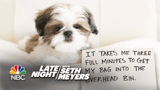 Extreme Dog Shaming Overhead Bins Hillarys Emails [upl. by Weksler]