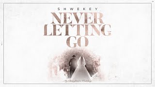 יעקב שוואקי Yaakov Shwekey  Never Letting Go [upl. by Zelazny]