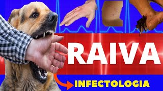 RAIVA HUMANA  VÍRUS DA RAIVA  CAUSAS SINTOMAS DIAGNÓSTICO E TRATAMENTO  INFECTOLOGIA [upl. by Dlorad284]