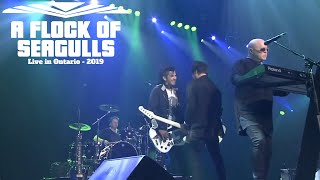 A Flock Of Seagulls Live in Ontario with The Spoons 2019  FULL CONCERT  Space Age Love Concert [upl. by Rubinstein690]