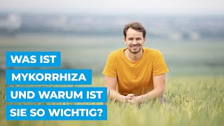 Was ist die Mykorrhiza und warum ist sie so wichtig [upl. by Eolande]