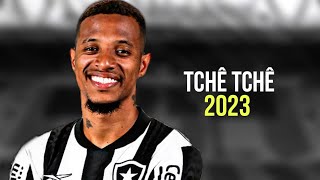 Tchê Tchê  Botafogo • Highlights • 2023  HD [upl. by Cousins]