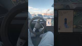 tesla automobile autopark teslamodel3 canada entertainment ytshorts shorts [upl. by Conny]