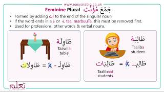 Beginners Arabic  Lesson 14  Arabic Plurals [upl. by Idnic]