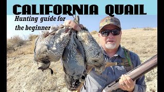 How to hunt California Quail [upl. by Rebmyt]