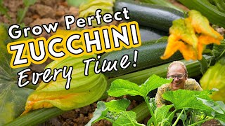 Grow Perfect Zucchini Every Time 💚 [upl. by Gold]