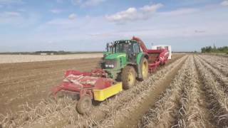 See how potatoes are harvested [upl. by Lacy]