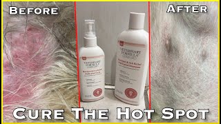 Cure The Hot Spot On Your Dog Stop The Itch  Veterinary Clinical Care Hot Spot Spray Shampoo Review [upl. by Coheman]