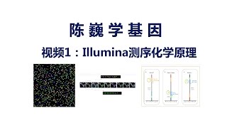 【陈巍学基因】视频1：Illumina测序化学原理 [upl. by Maximilian]