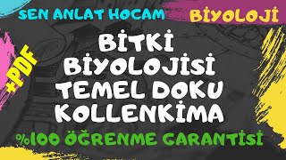 BİTKİ BİYOLOJİSİ KONU ANLATIMI 11  BİTKİSEL DOKULAR  TEMEL DOKU 2 DOKU  AYT BİYOLOJİ  ✅ [upl. by Aunson]