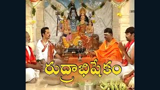 రుద్రాభిషేకం  రుద్రాభిషేకం పూజ  Rudrabhishekam [upl. by Tufts544]