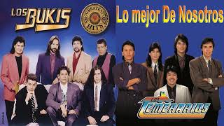 Los Dos Reales  15 Exitos De Oro Disco Completo [upl. by Anyd]