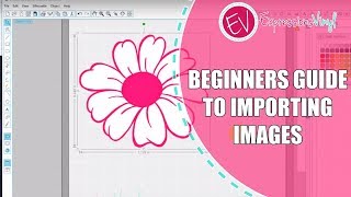 Beginners Guide to Importing Images into Silhouette Studios [upl. by Hallee]