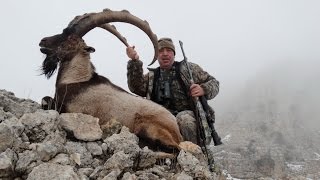 BEZOAR IBEX HUNTING YABAN KEÇİSİ AVI OKAY BARAN RECEP ECER [upl. by Tilford726]