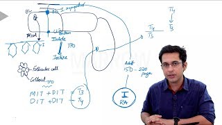 Thyroid Basics and Hypothyroidism  NEET PG [upl. by Helsell126]