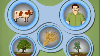 Heterotrophic Mode of Nutrition in Plants  Macmillan Education India [upl. by Nidnarb359]