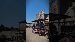 Sovereign Hill Where history comes alive shorts horse vintage ballarat [upl. by Leakim]