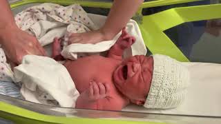 Newborn baby suddenly stops crying [upl. by Eberly]