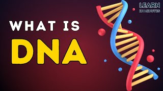 What is DNA  Deoxyribonucleic Acid  Basics Structure and Functions of DNA  Genetics [upl. by Assiralc]