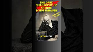 Schopenhauer Explained  Dark Side of Philosophy [upl. by Enilrahc852]