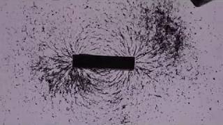 Experimente aus der Physik Magnetische Feldlinien 1 Permanentmagnete [upl. by Hiltner]