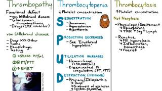 Thrombocytosis [upl. by Mellins]