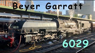 Australian Steam Trains Beyer Garratt 6029  In Review [upl. by Bourn699]