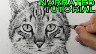 How to Draw a Cat Narrated StepbyStep Tutorial [upl. by Chappie817]