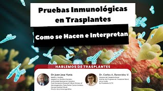 Pruebas Inmunológicas en Trasplantes como se hacen e interpretan [upl. by Terriss]