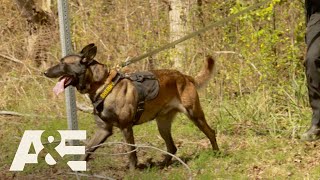 Live PD Best of K9 Officers  AampE [upl. by Ena]