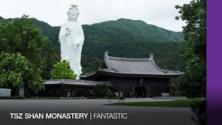 FANTASTIC  Tsz Shan Monastery 香港慈山寺 [upl. by Kerad]