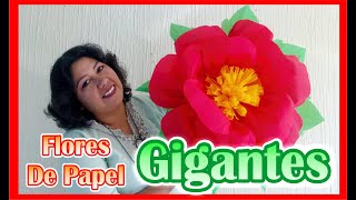 DIY  Como Hacer Flores De Papel Crepe  GIGANTES [upl. by Oliva603]