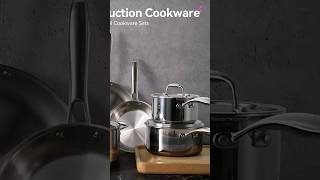 The Duxtop wholeclad triply stainless steel cookware set [upl. by Dranyam903]