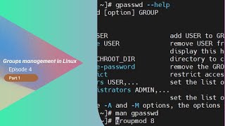 Episode 4  Groups management in Linux Part 1 [upl. by Randal]