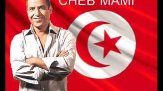 Cheb Mami  galbi galbi  NOUVEL ALBUM 2014 [upl. by Atteval]