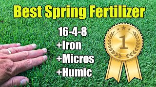 Best Spring Lawn Fertilizer [upl. by Derf552]