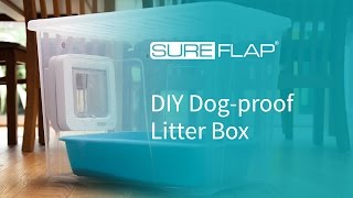 DIY Dogproof Litter Box from SureFlap [upl. by Aerdnael252]