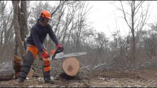 Stihl 362 vs 261 vs 241 [upl. by Pavia]