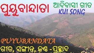 Rayagada Kui Song Puyubandata  Prahlad  MAA Majhighariani Entertainment [upl. by Ahseiuqal]